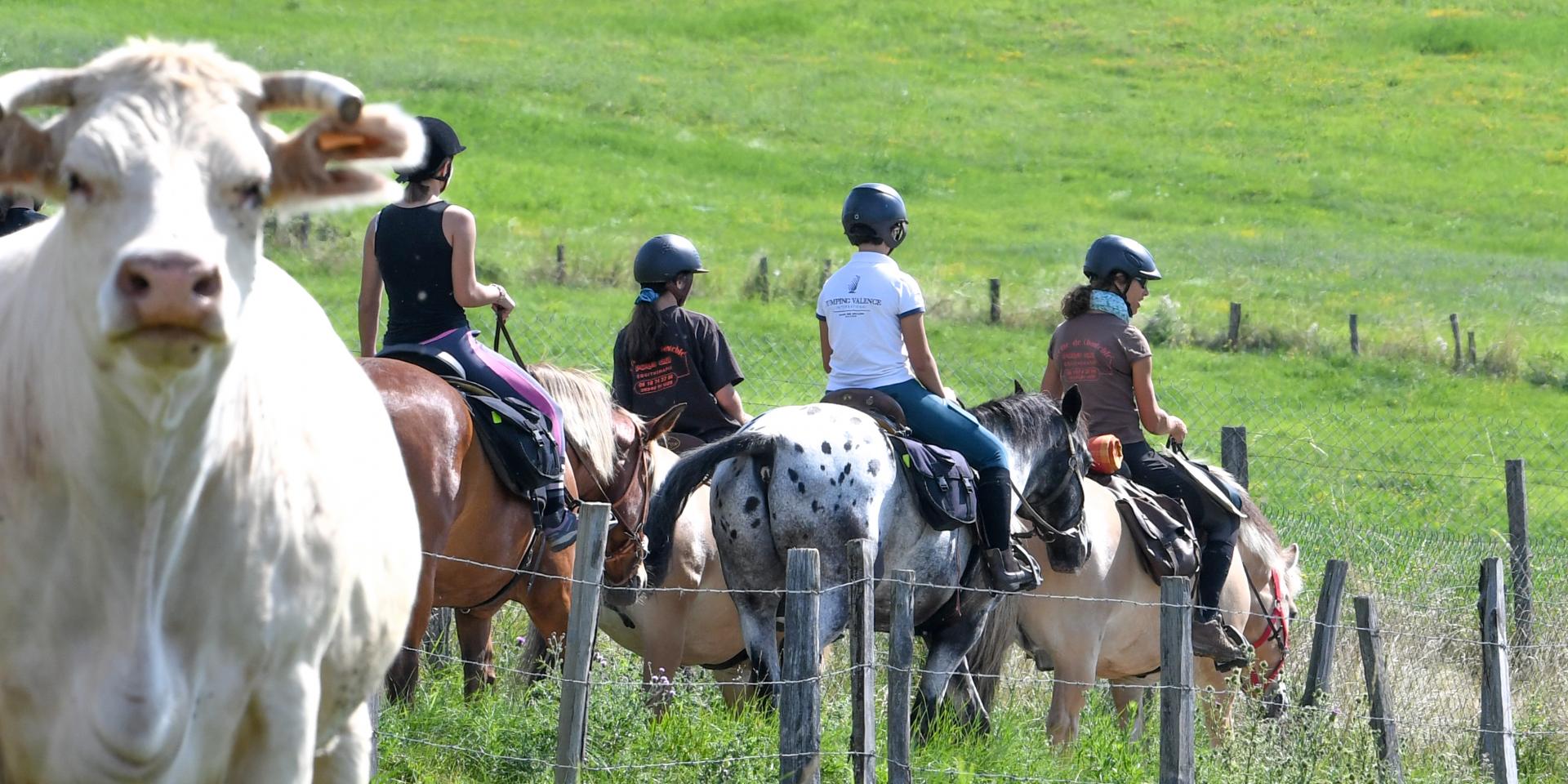 Horseback riding in the Drôme des collines