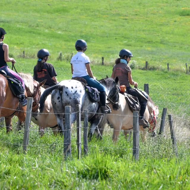 Horseback riding in the Drôme des collines