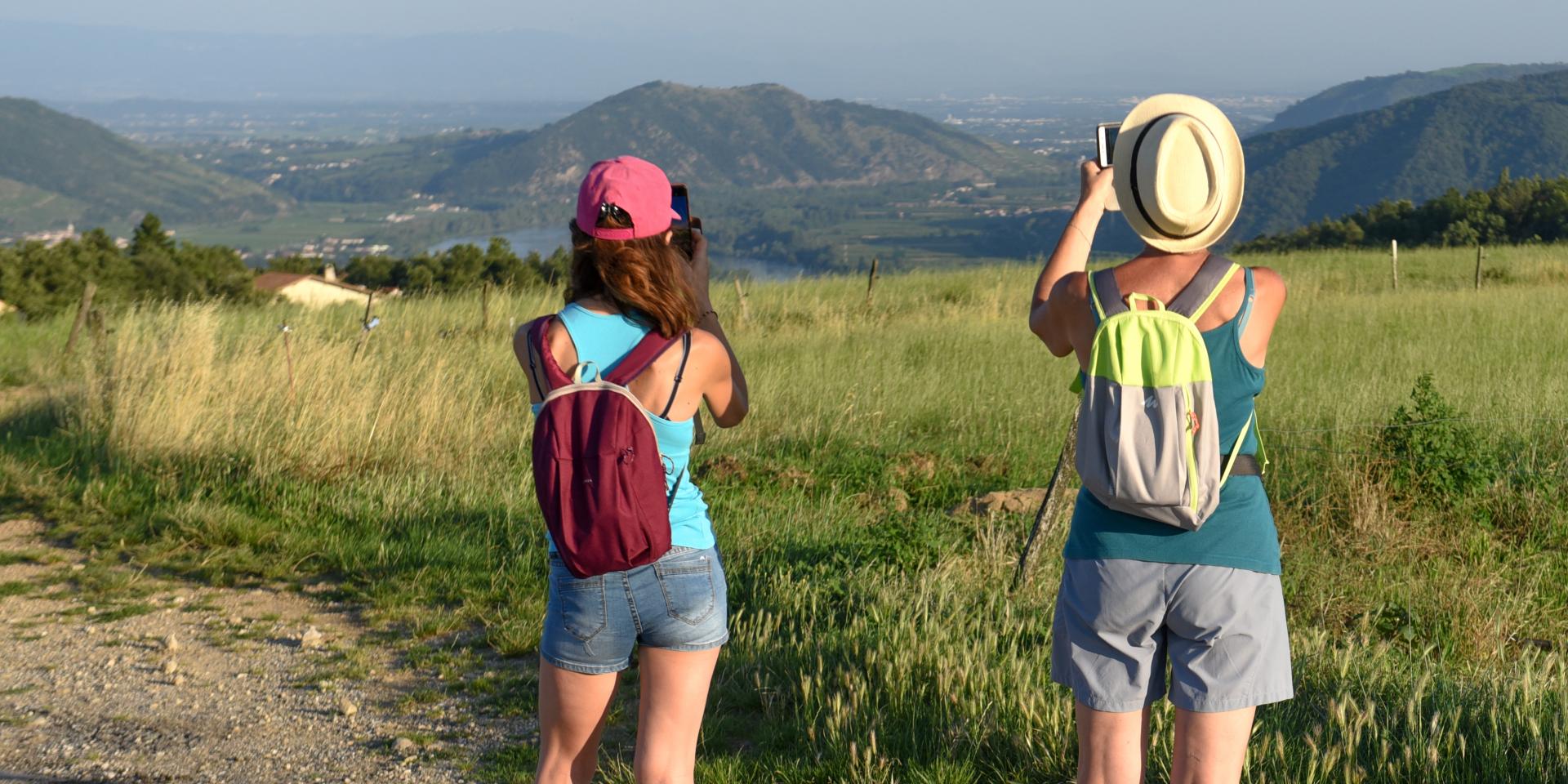 Hike in the vineyards of Arras/Rhône