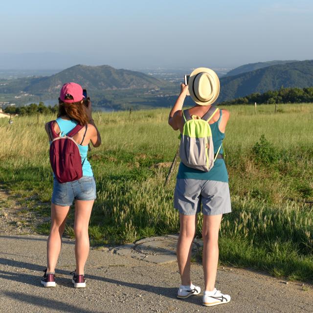 Hike in the vineyards of Arras/Rhône