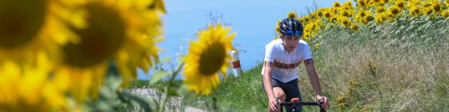 Faire du vélo en Porte de DrômArdèche