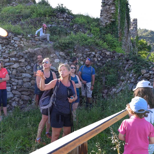 Sandrine's walks in Arras/Rhône