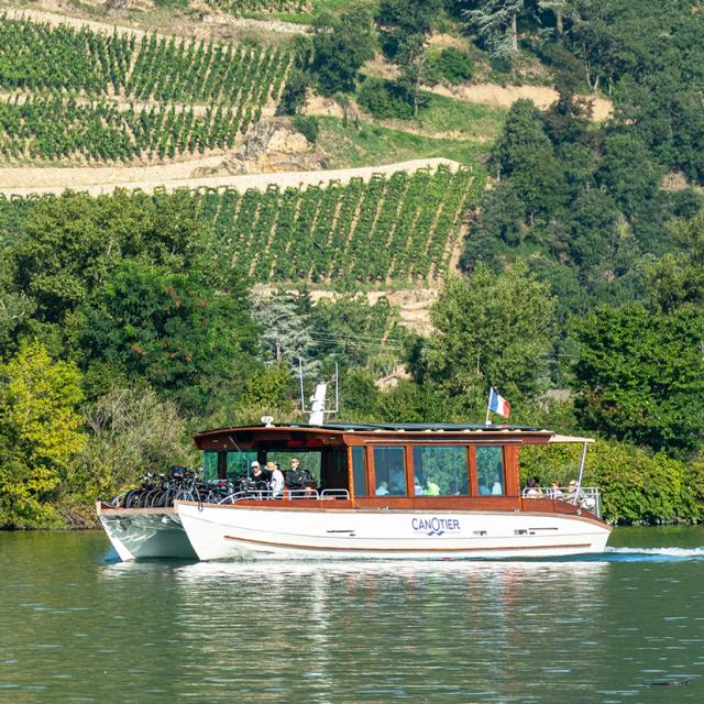 Les canotiers sur le Rhône