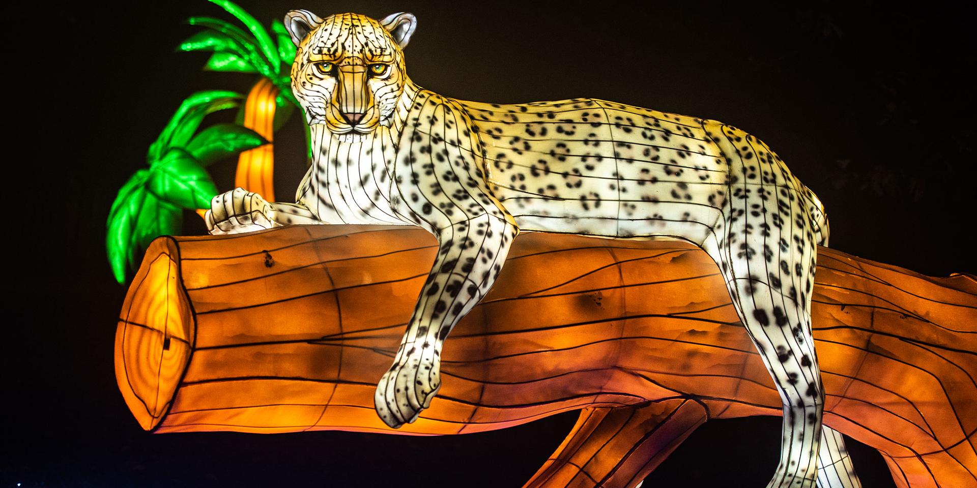 Lumières sauvages à Peaugres