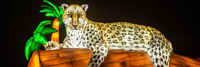 Lumières sauvages à Peaugres