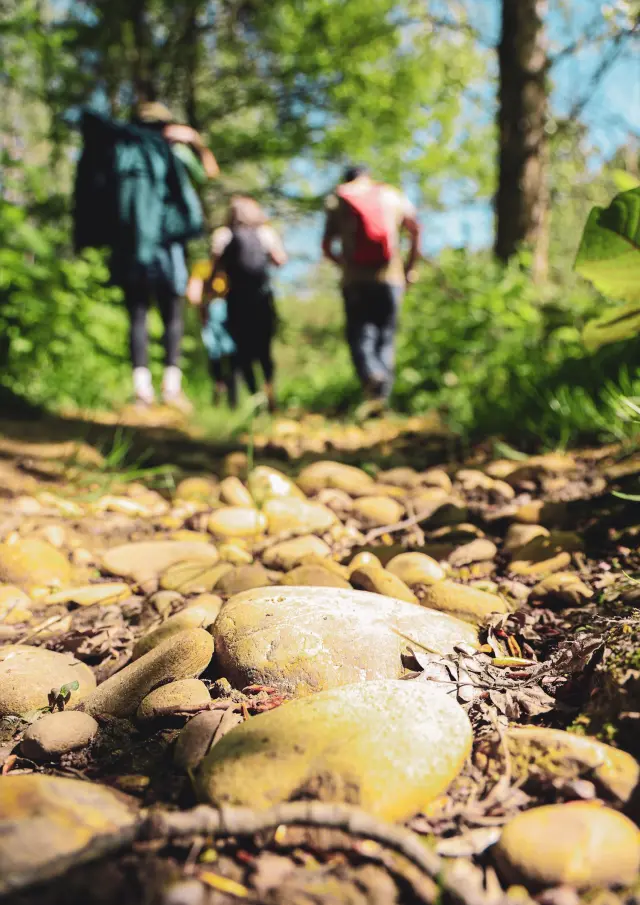 Chemin de galets à St Jean de Galaure
