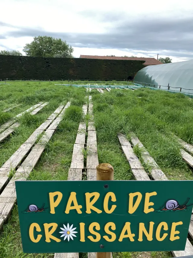 La ferme aux escargots (Albon), parc de croissance