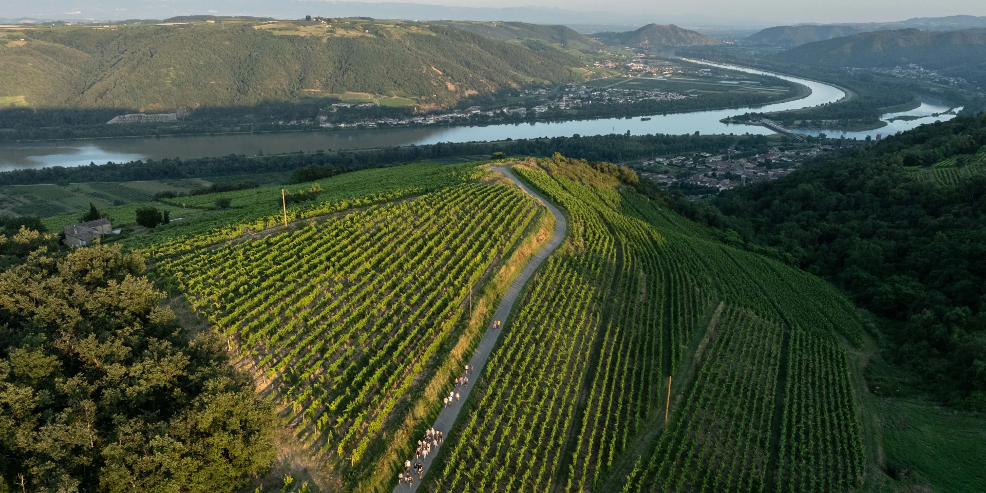 Vignoble de saint-joseph (Ardèche)