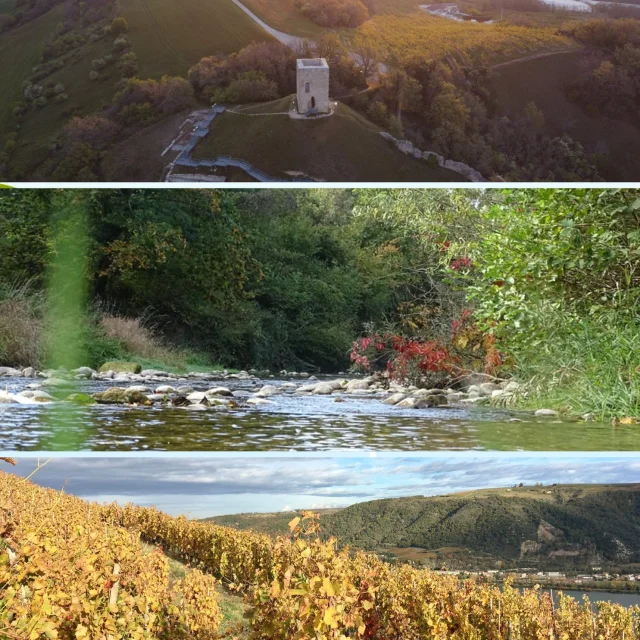 Instagram #autourdupalaisideal