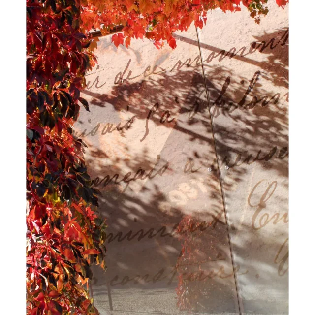 Instagram #hauterives