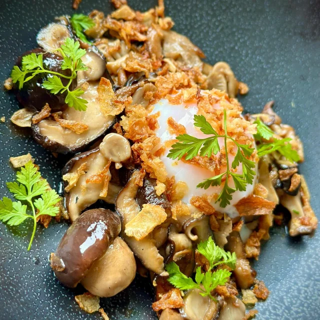 Instagram #autourdupalaisideal