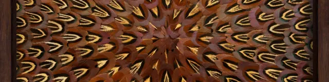 Kate Mccgwire Blister 2025