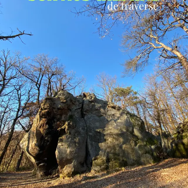 Instagram #autourdupalaisideal