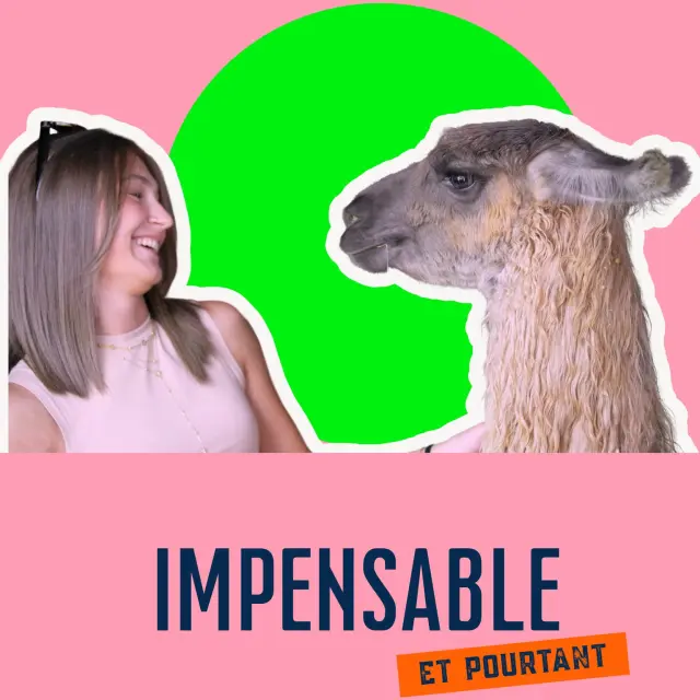 Instagram #autourdupalaisideal