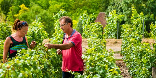 randonnee-vignoble-couple-champagne-vallee-de-la-marne-les-portes-de-la-champagne