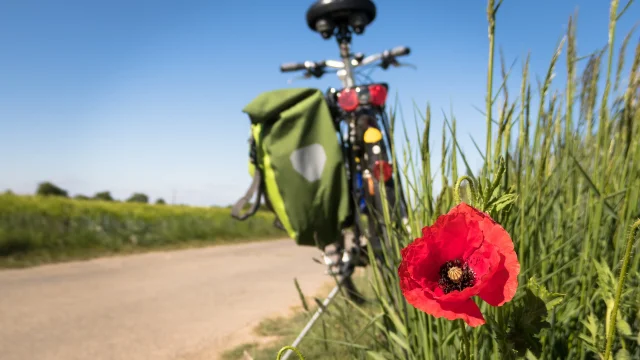 Pixabay-to-go-biking-g18df3c606_1920.jpg