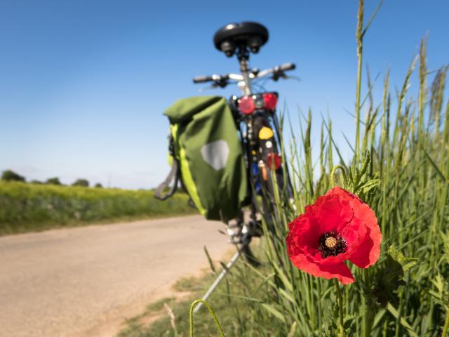 Pixabay-to-go-biking-g18df3c606_1920.jpg