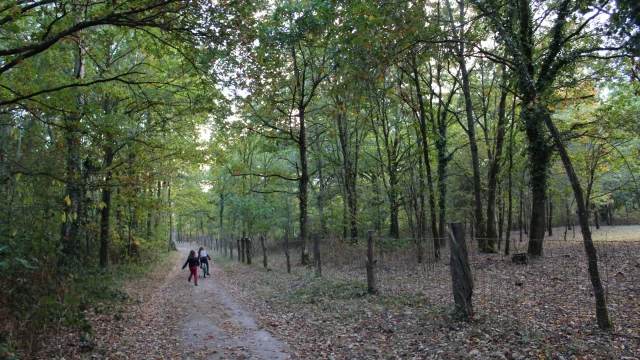 Parc des Bruyères in Fère-en-Tardenois