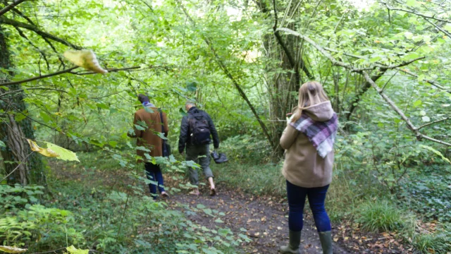 Hiking at the Gates of Champagne