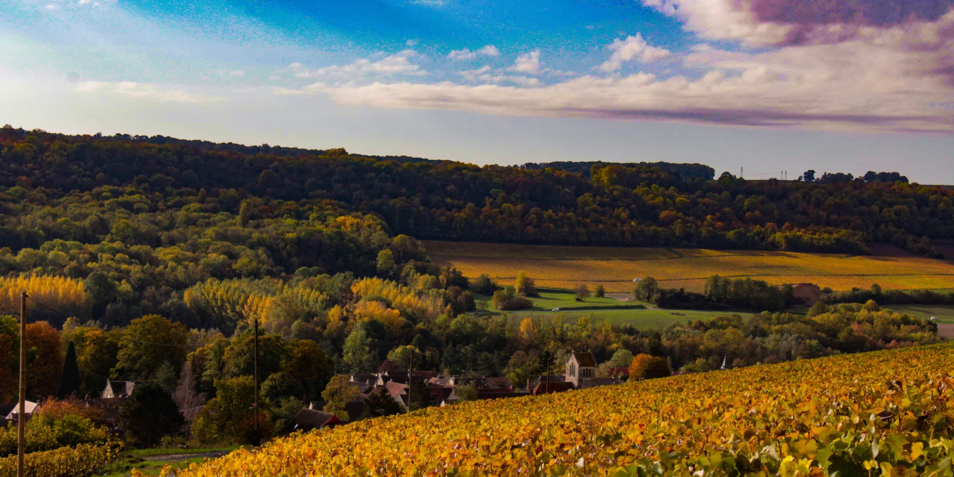 gland-portes-champagne-vignoble-vignes-raisin