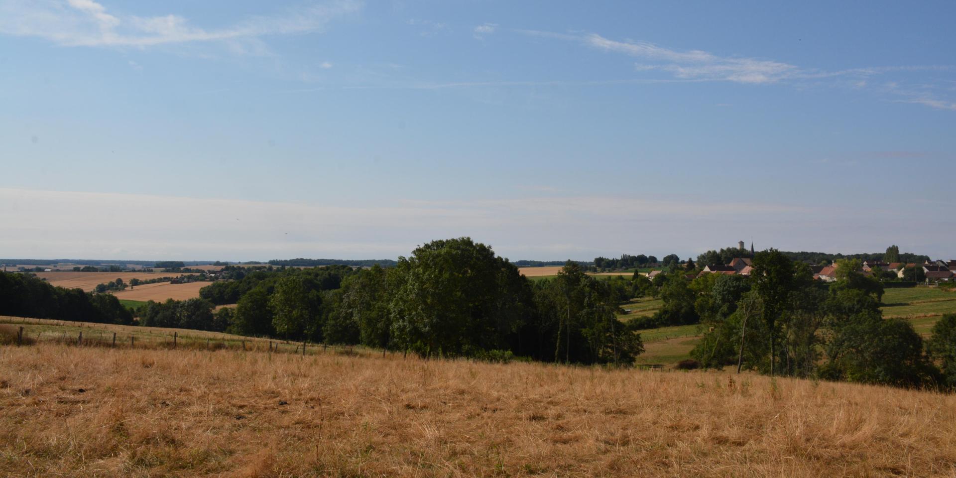 Landscape of the Gates of Champagne