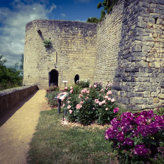 Medieval castle of Château-Thierry