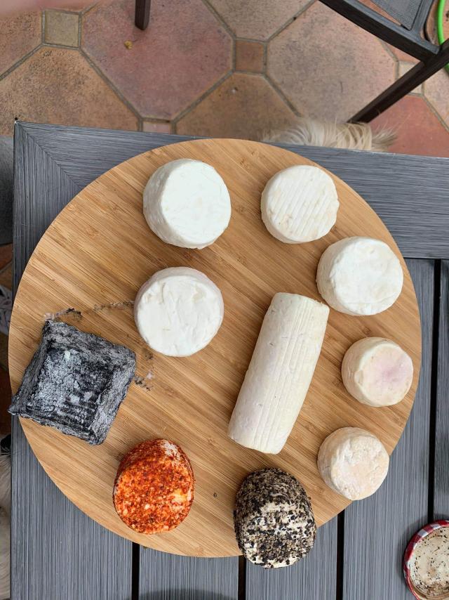 bique-biquette-fromage-chèvre-portes-champagne