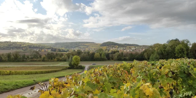 champagne-vignoble-brasles-portes-champagne-vallee-marne-hauts-france