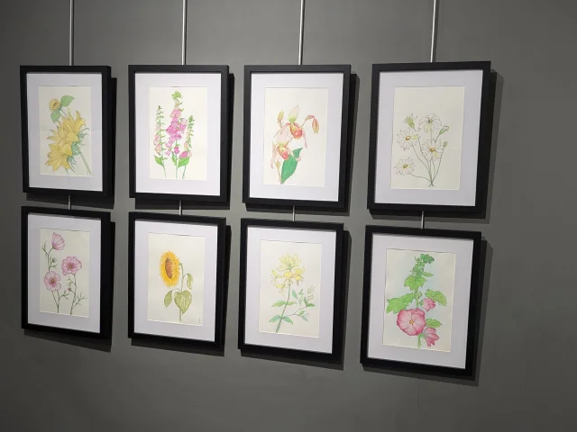 exposition-botanique-mafa-maison-tourisme-office-chateau-thierry-vallee-marne-hauts-france