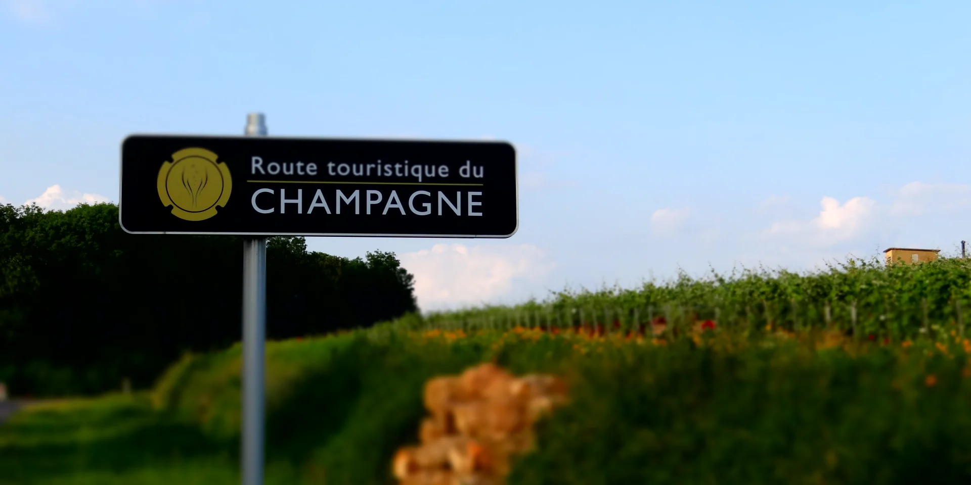 marne-hautsdefrance-champagnebrut-champagnerose-champagnemillesime-champagnedevigneron-routetouristiqueduchampagne-vigne-vignoble-producteur-manipulant-oenotourisme-vigneronindependant-experience-maisonchampagne-vendange-raisin-coteaux-rangsdevigne-vallee-omois-liage-palissage-lesbois-fossoy