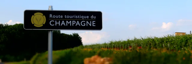 marne-hautsdefrance-champagnebrut-champagnerose-champagnemillesime-champagnedevigneron-routetouristiqueduchampagne-vigne-vignoble-producteur-manipulant-oenotourisme-vigneronindependant-experience-maisonchampagne-vendange-raisin-coteaux-rangsdevigne-vallee-omois-liage-palissage-lesbois-fossoy