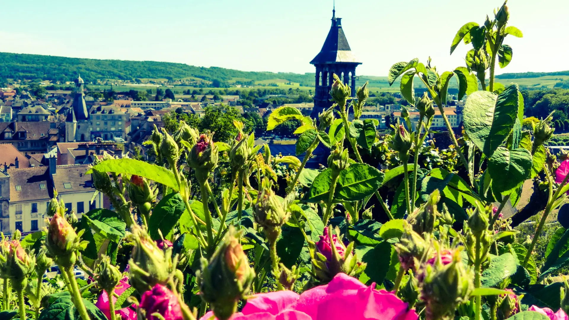 Roseraie Chateau Thierry Mdt Les Portes De La Champagne Gaufillier Anais 3 Edited