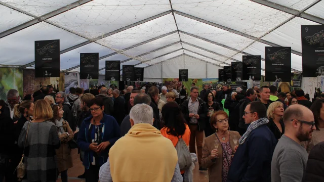 Champagne & Vous à Château-Thierry