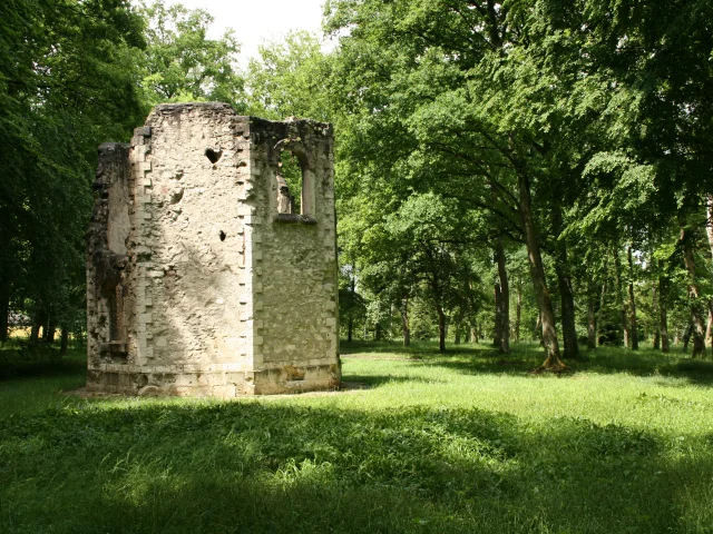 Bois De Belleau Mdt 24