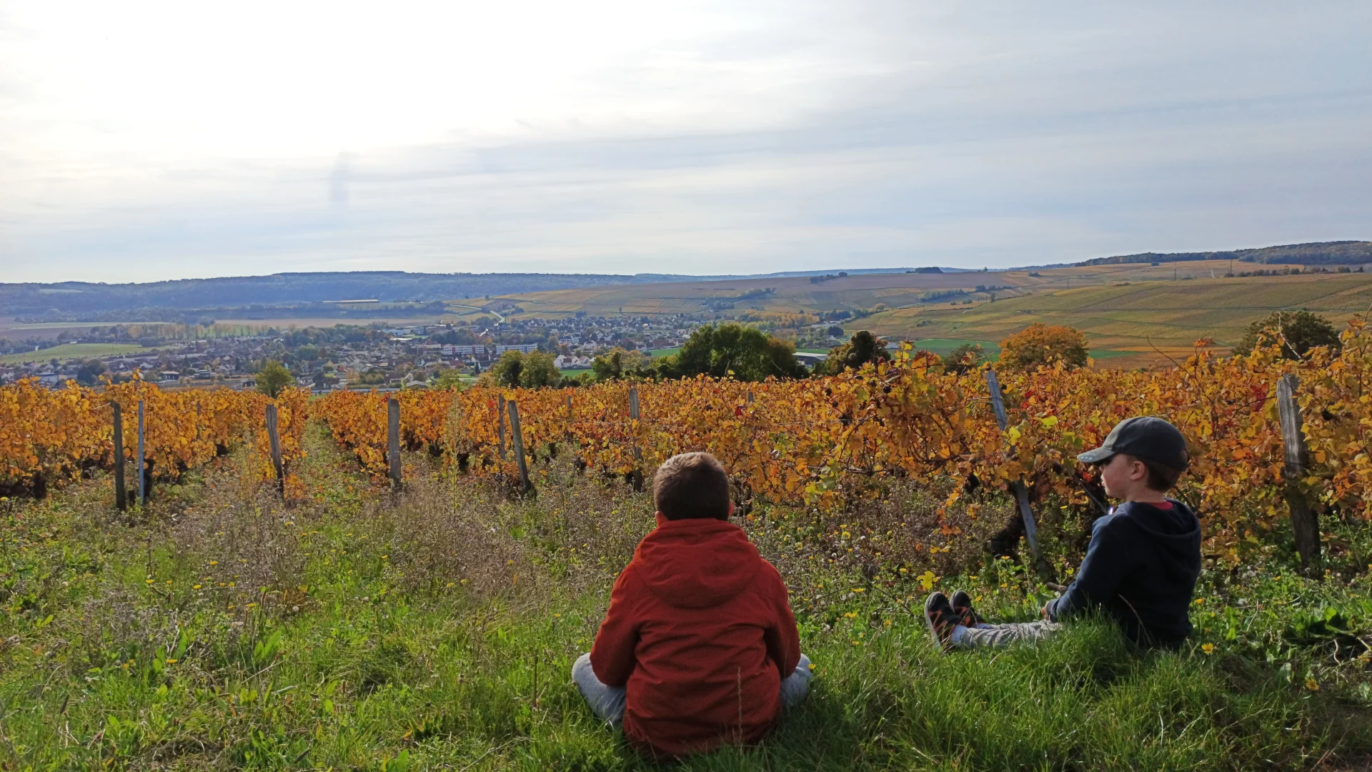 enfants-vignoble-charly-marne-automne-doré