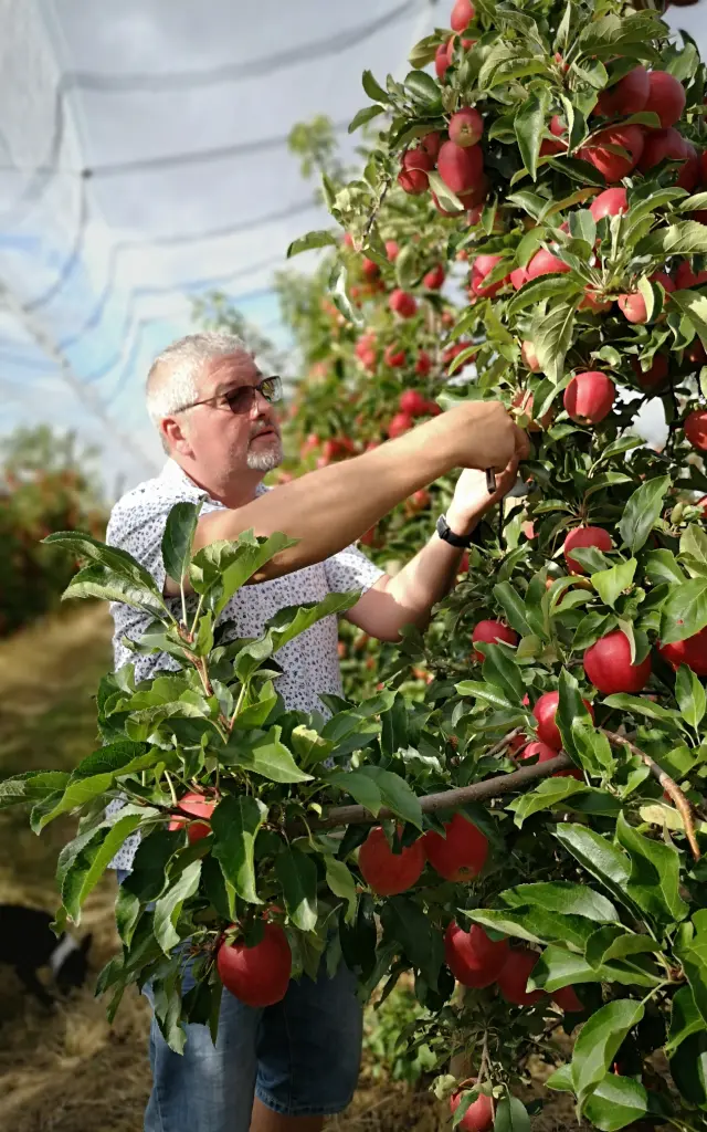 EARL Pommeraie Hervé
