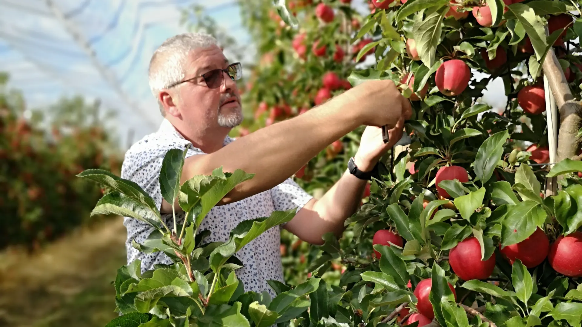 EARL Pommeraie Hervé