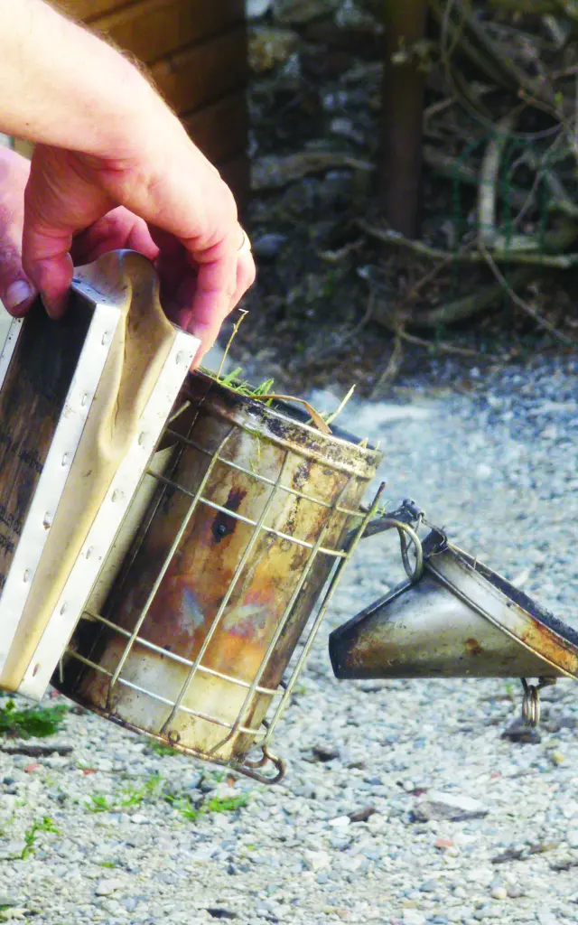 Happyzabeille Mdt 22