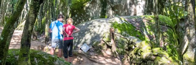 Dl Bd Ld Cucuruzzu Jpeg 2