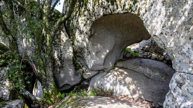 Dl Bd Ld Cucuruzzu Jpeg 33 Copie