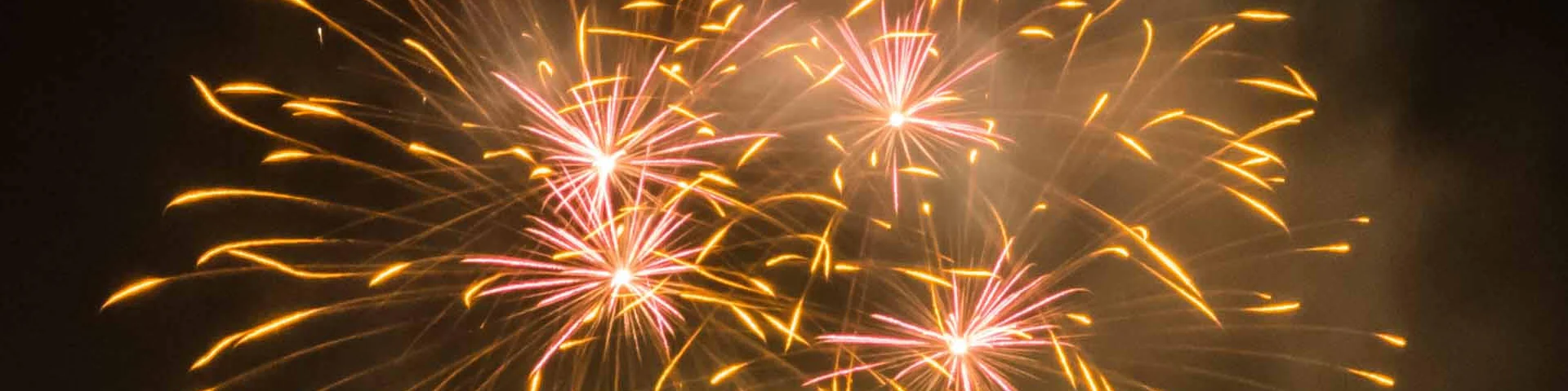 Dl Bd Ld Fireworkspropriano2018 Jpeg (3)
