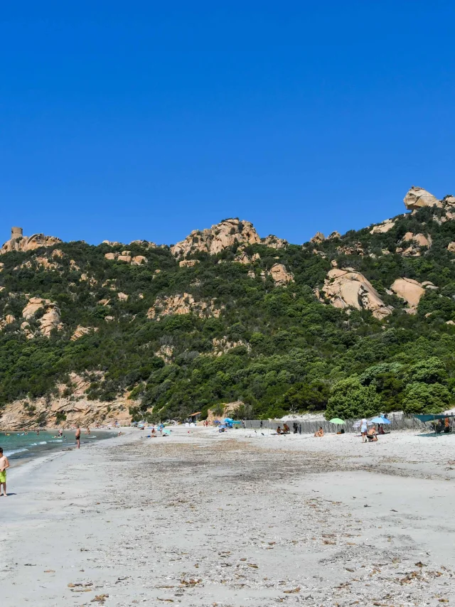 La plage et le Lion de Roccapina