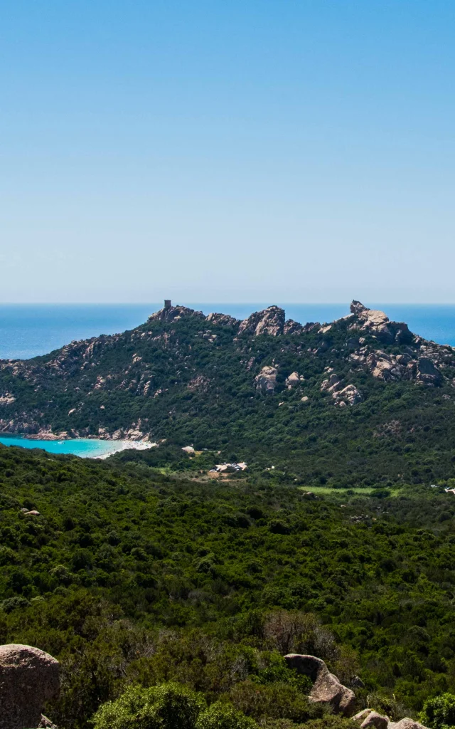 Le Lion de Roccapina depuis la Casa di Roccapina