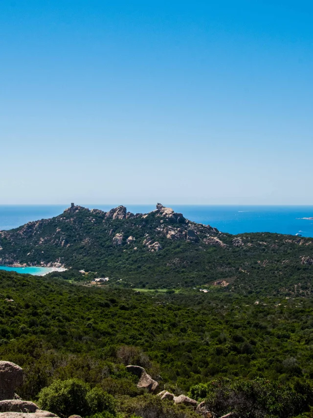 The Lion of Roccapina from the Casa di Roccapina