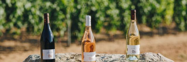 Domaine Perolongo Juillet21 41