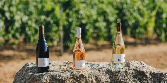 Weingut Perolongo Juli21 41