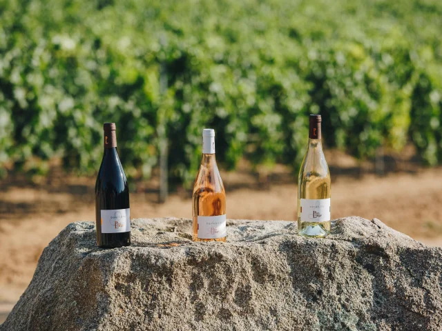 Domaine Perolongo Juillet21 41