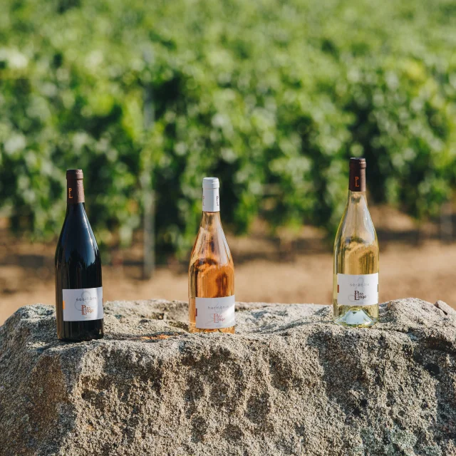 Domaine Perolongo Juillet21 41