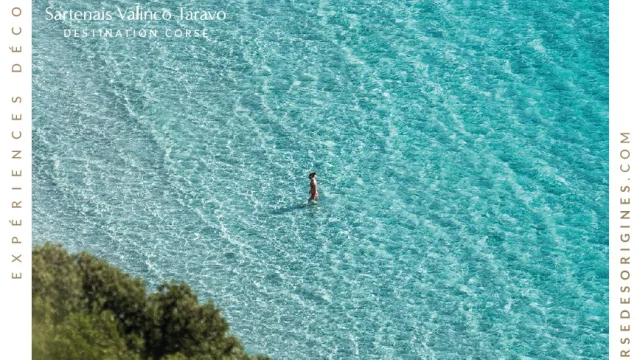 Destination Corse Des Origines