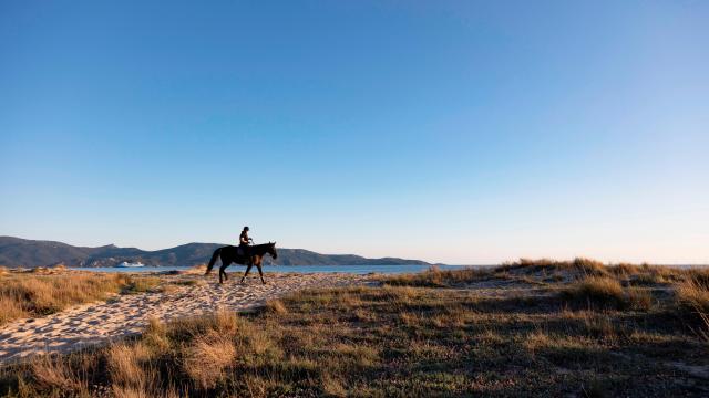Sportif Plage De Tenutella ©atc Sylvain Alessandri 3